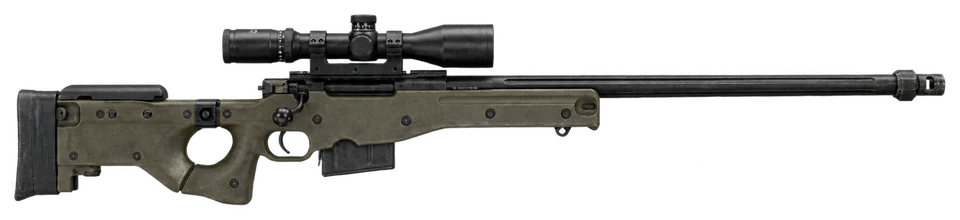 Accuracy International L96A1