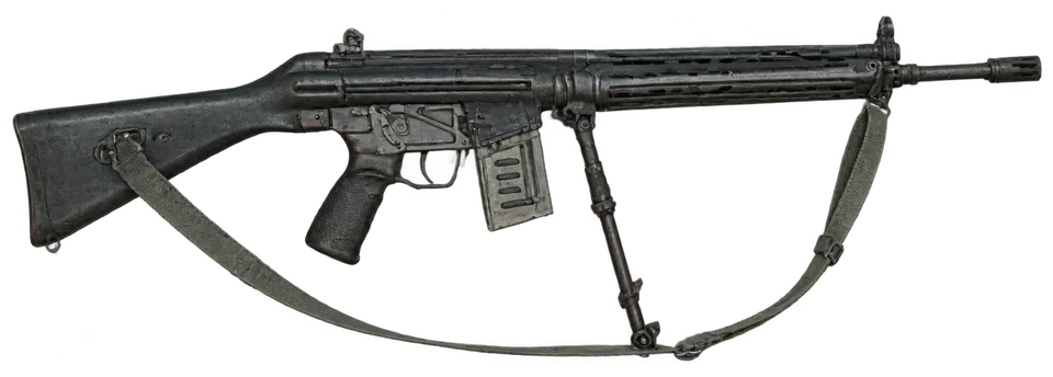 H&R T223 Assault Rifle
